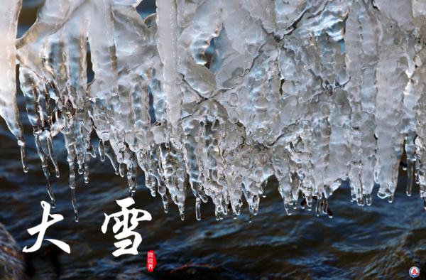 腾冲马站今日猪价（腾冲生猪价格今日猪价）