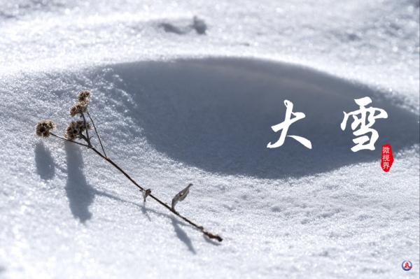 微视界｜大雪，冬深迎春至