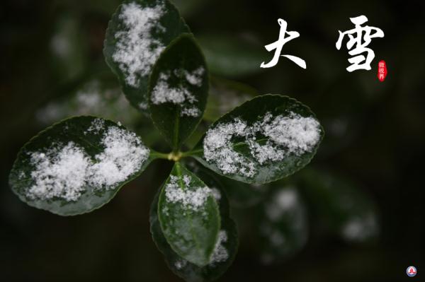 腾冲马站今日猪价（腾冲生猪价格今日猪价）