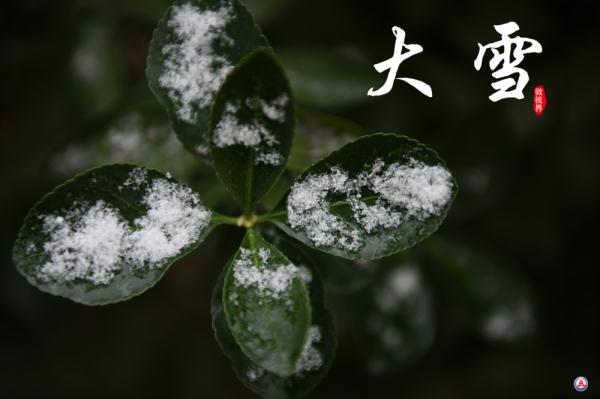 微视界｜大雪，冬深迎春至