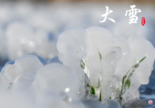 微视界｜大雪，冬深迎春至