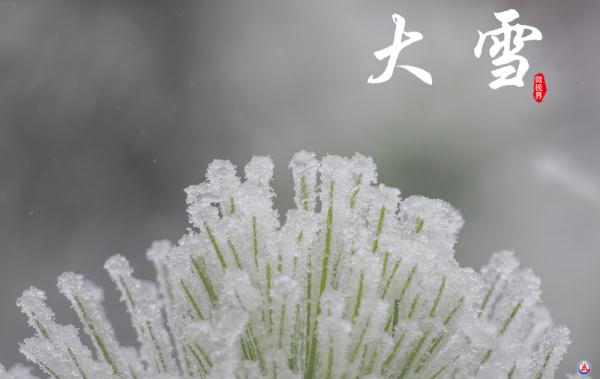 腾冲马站今日猪价（腾冲生猪价格今日猪价）