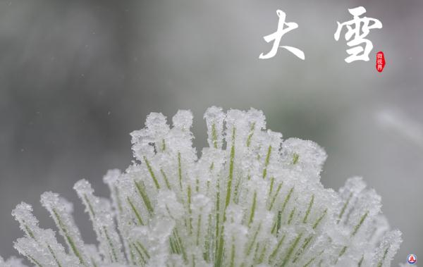 微视界｜大雪，冬深迎春至