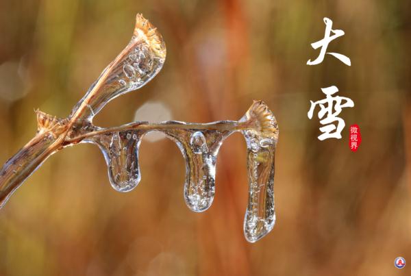 腾冲马站今日猪价（腾冲生猪价格今日猪价）