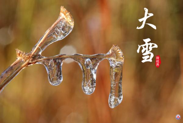 微视界｜大雪，冬深迎春至