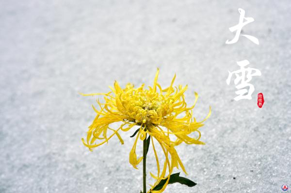 腾冲马站今日猪价（腾冲生猪价格今日猪价）