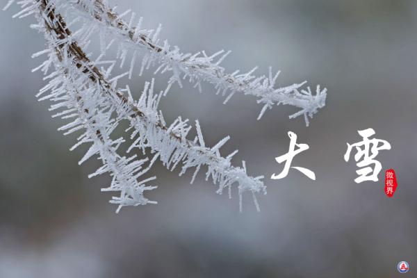 腾冲马站今日猪价（腾冲生猪价格今日猪价）