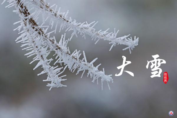 微视界｜大雪，冬深迎春至