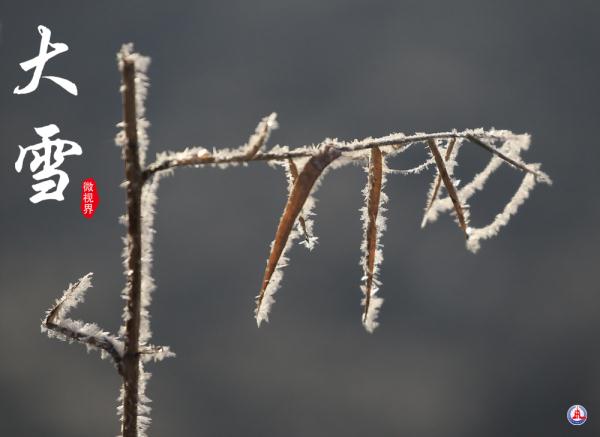 微视界｜大雪，冬深迎春至