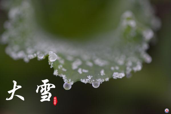 微视界｜大雪，冬深迎春至