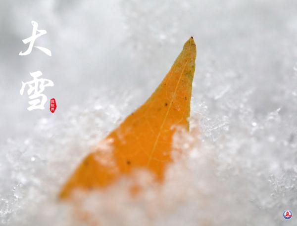 微视界｜大雪，冬深迎春至