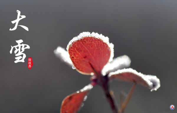 微视界｜大雪，冬深迎春至