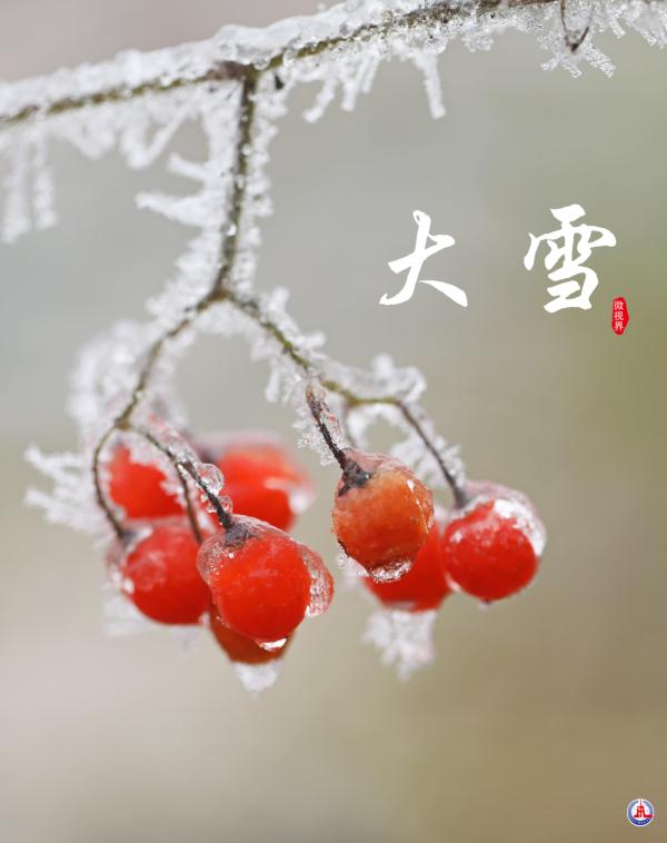 微视界｜大雪，冬深迎春至