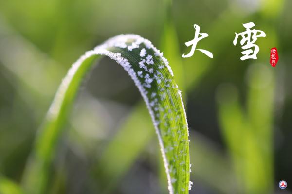 微视界｜大雪，冬深迎春至