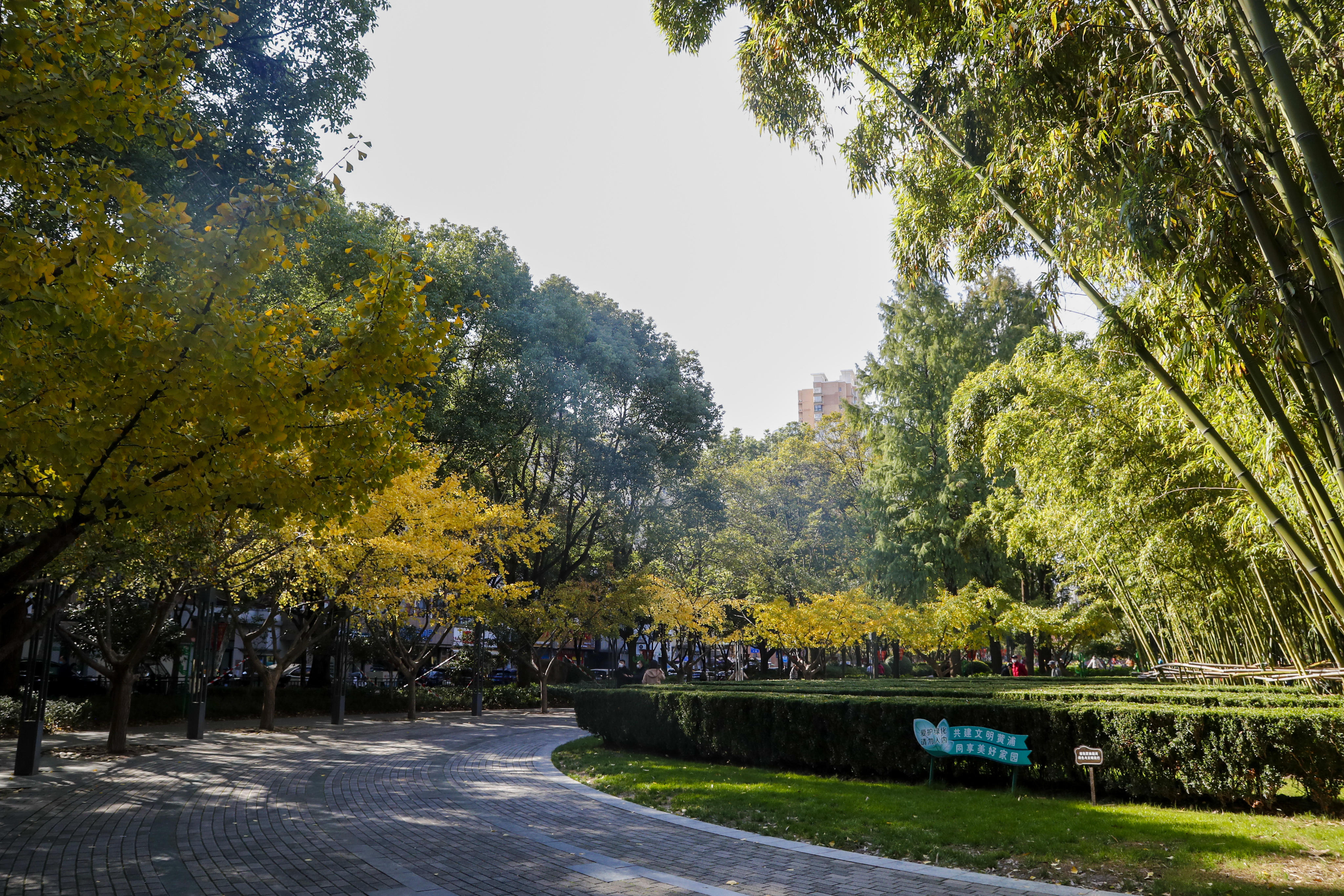 上海黄浦公园 上海公园排名一览表-文化号