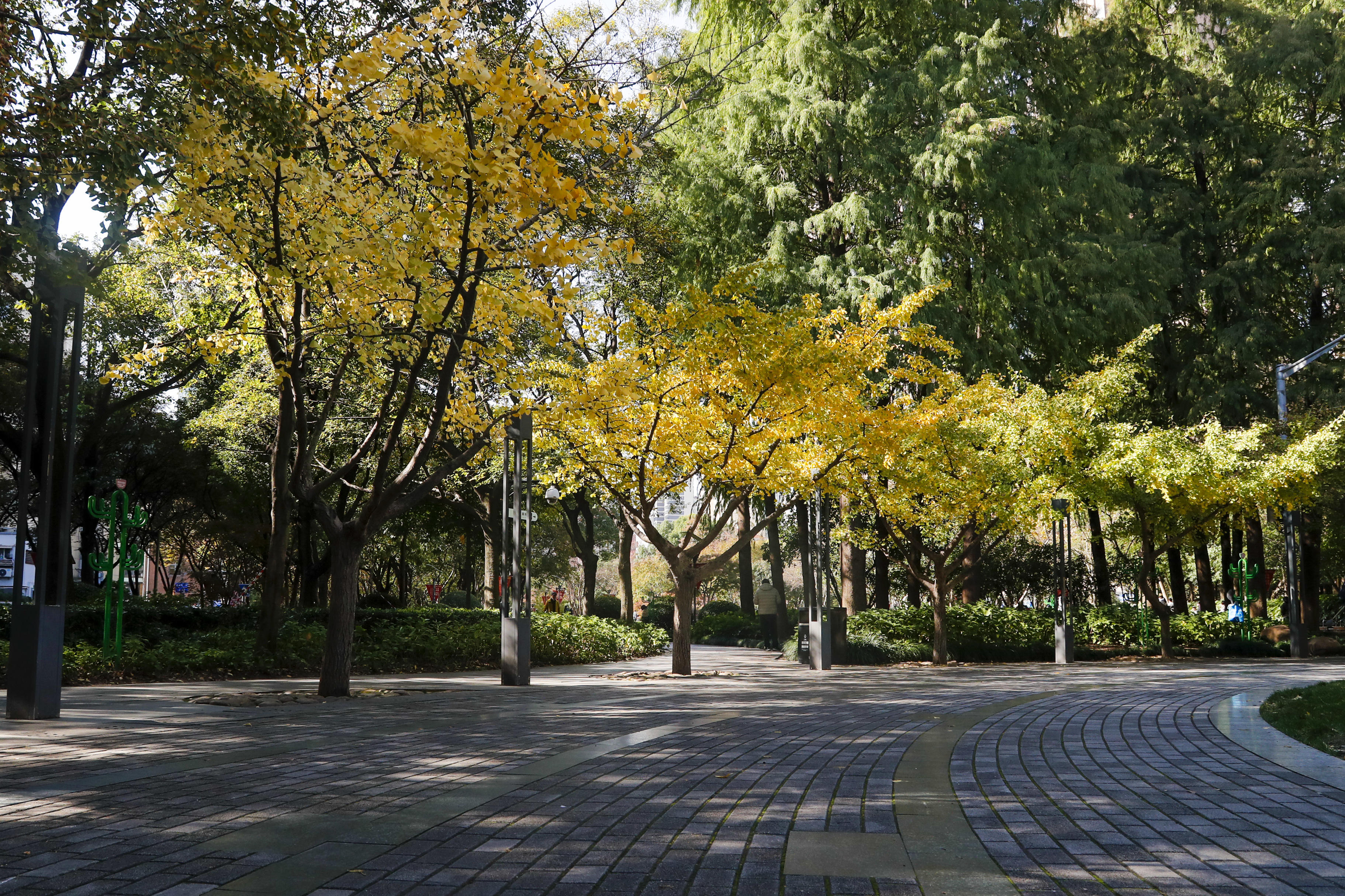 上海黄浦公园 上海公园排名一览表-文化号