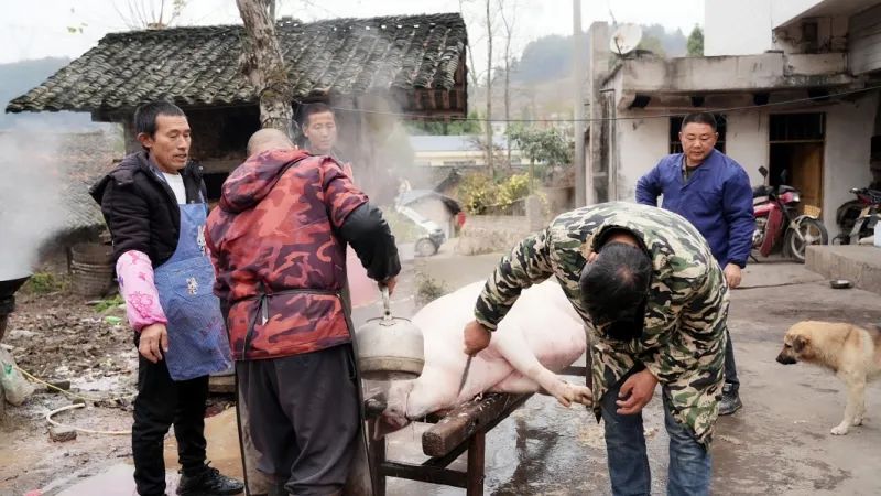 笑哈哈！甕安的“刨湯”不一般