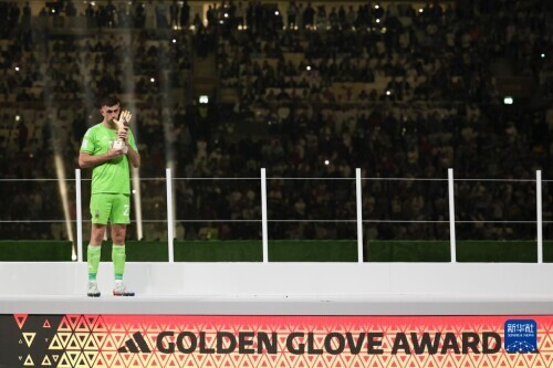 第八届世界杯足球赛冠军（卡塔尔世界杯｜阿根廷队夺冠）