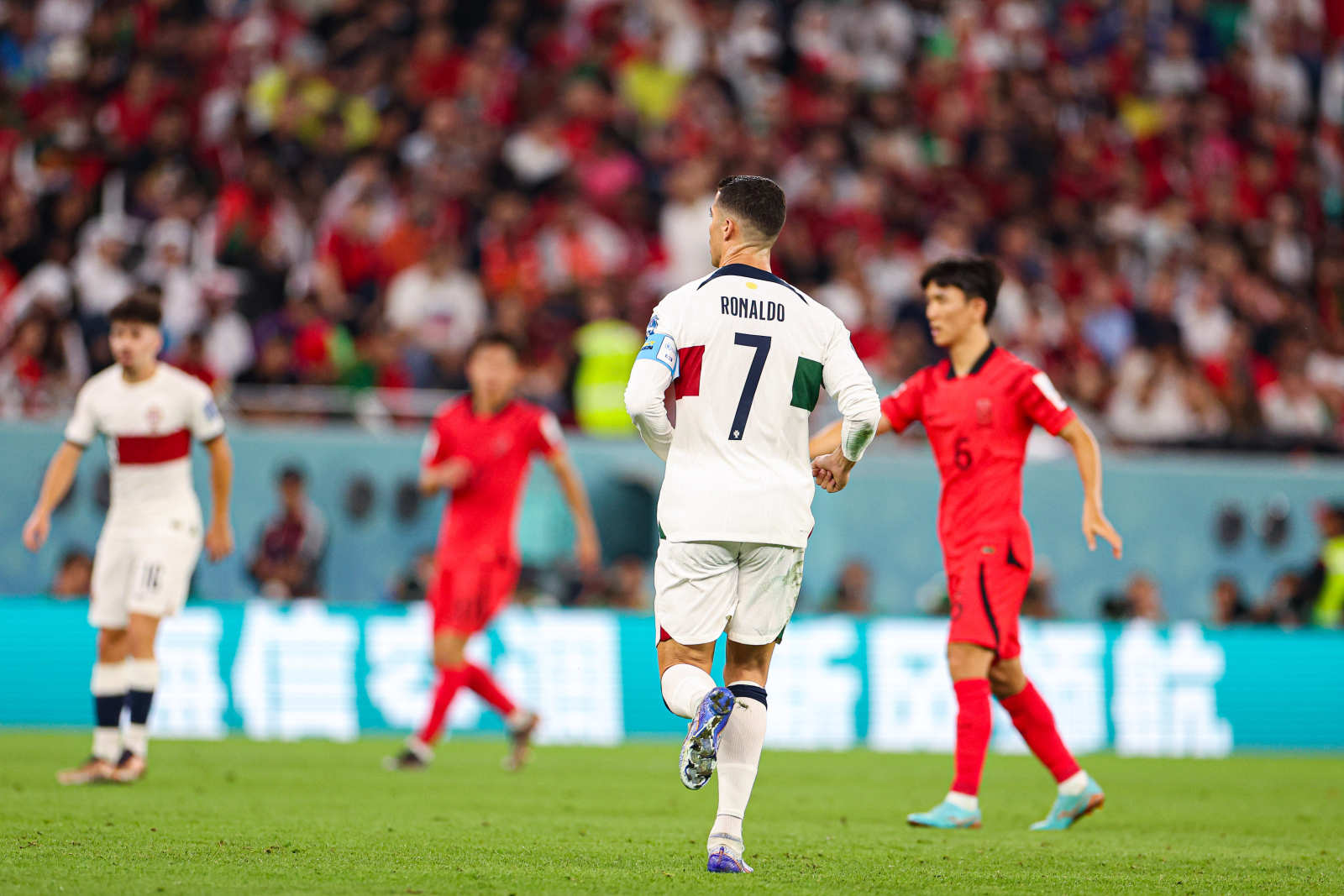 世界足球几号结束（圆满！遗憾！惊喜！2022卡塔尔世界杯落幕）