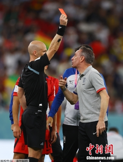 世界杯壁纸全屏高级（大画世界杯世界杯破圈大赏）