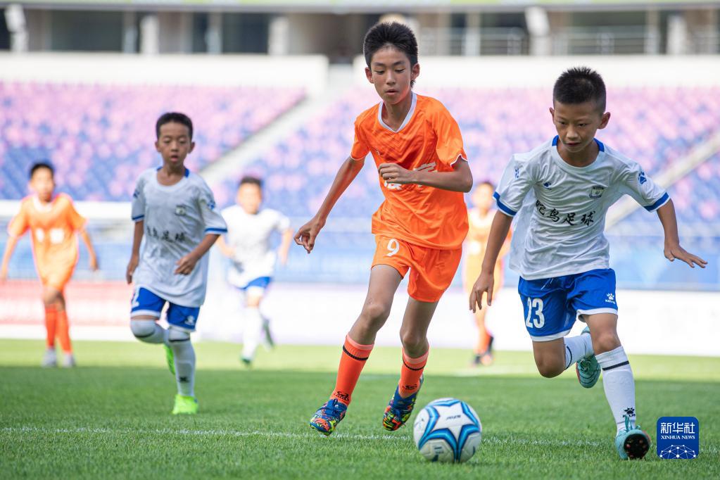 61体育直播官网（新华社体育部评出2022年中国体育十大新闻）