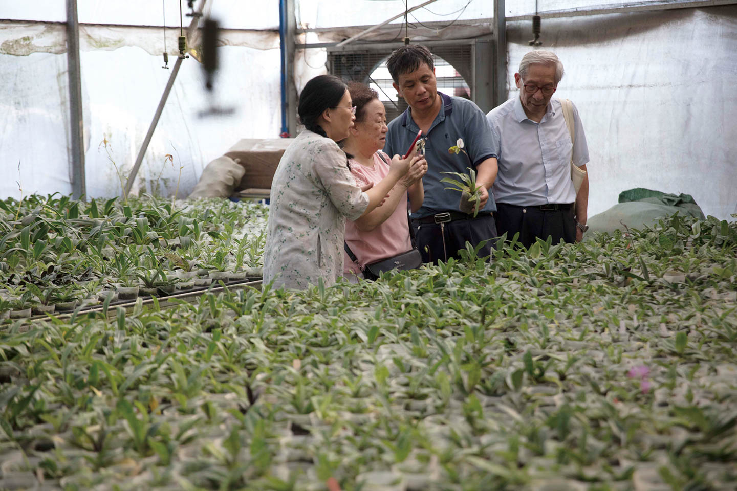 我国第一个自然保护区（我国第一个自然保护区是）-第7张图片-巴山号