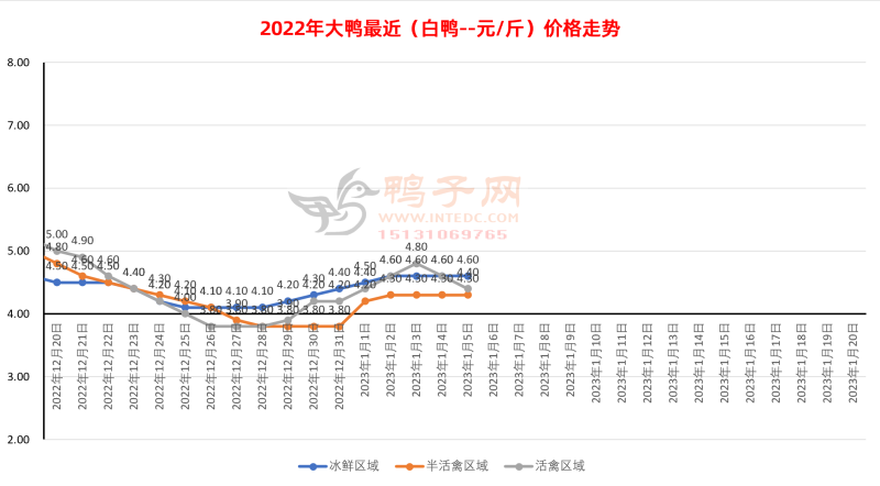 鸭苗四天涨2倍，肉价却在下跌，禽肉类市场春节前剧烈震荡