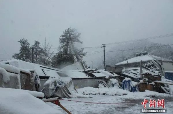 雪是怎样形成的（云雾霜雪是怎样形成的）