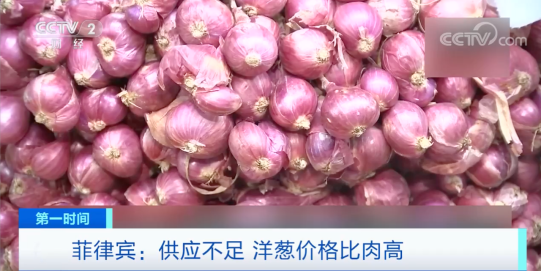 今日北京的洋葱价格，河南新野洋葱今日价