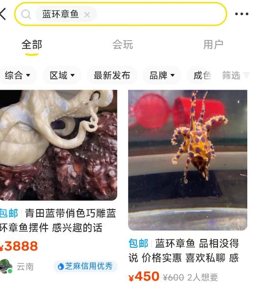 毒性是眼镜蛇的50倍，网友吃火锅吃出剧毒蓝环章鱼