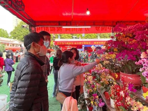 今日广州菊花批发价格(广州菊花批发价格行情)-友友