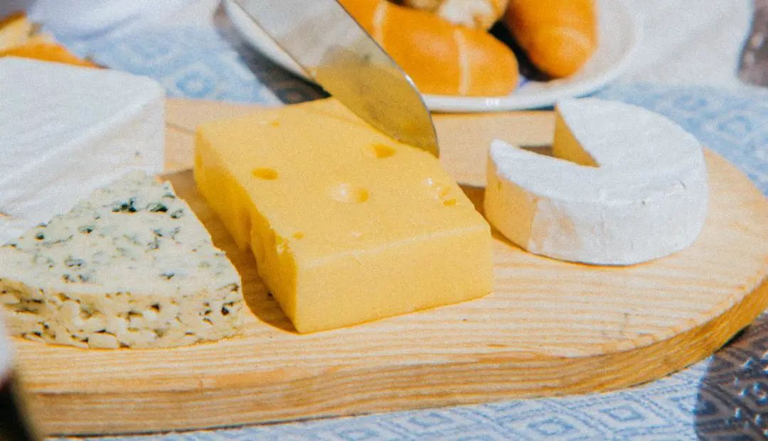 什么是奶酪（奶酪的制作过程类似豆浆做豆腐的过程）