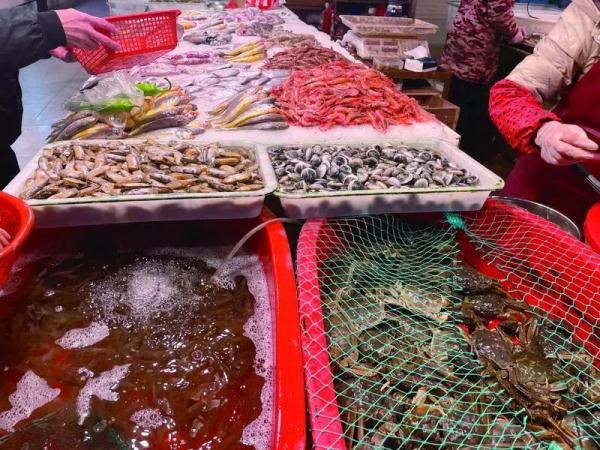 今日活梭子蟹价格「北京梭子蟹今日市场价格」