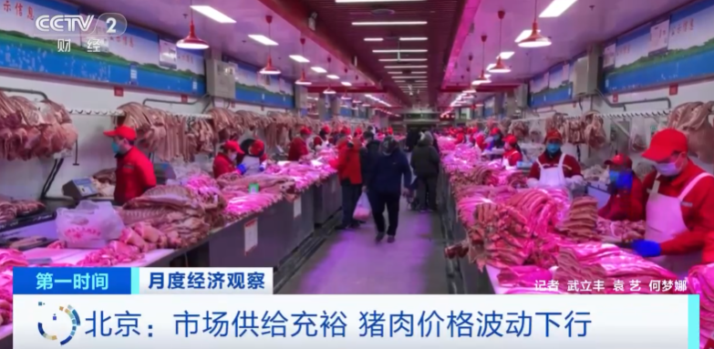 今日北京猪排骨价格「猪排价格今日价一斤」