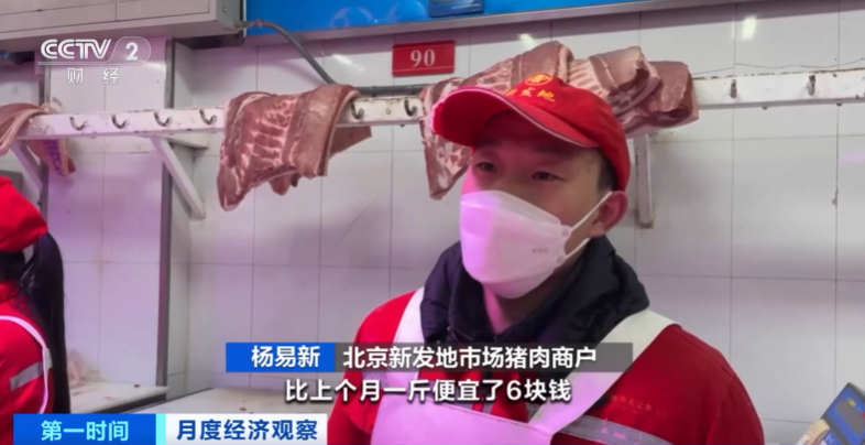 今日北京猪排骨价格「猪排价格今日价一斤」