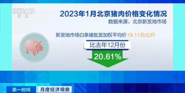 今日新发地排骨价格，新发地排骨价格今日查询