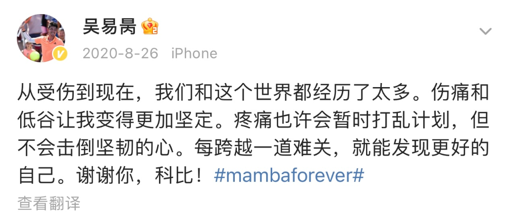 双蝶乒乓球台怎么样（吴易昺：若没有这些阴影，谁会知道我站在光里）