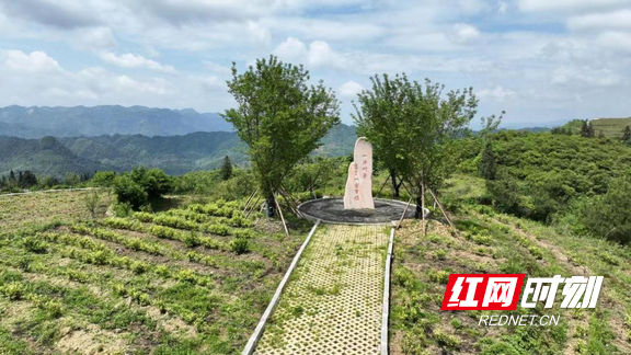 向往的生活第三季在哪里拍的-大连信息网