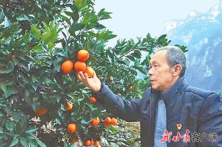 世界最好的文字（党媒连连看｜传递信心与力量！８省市“时代楷模”话心声）