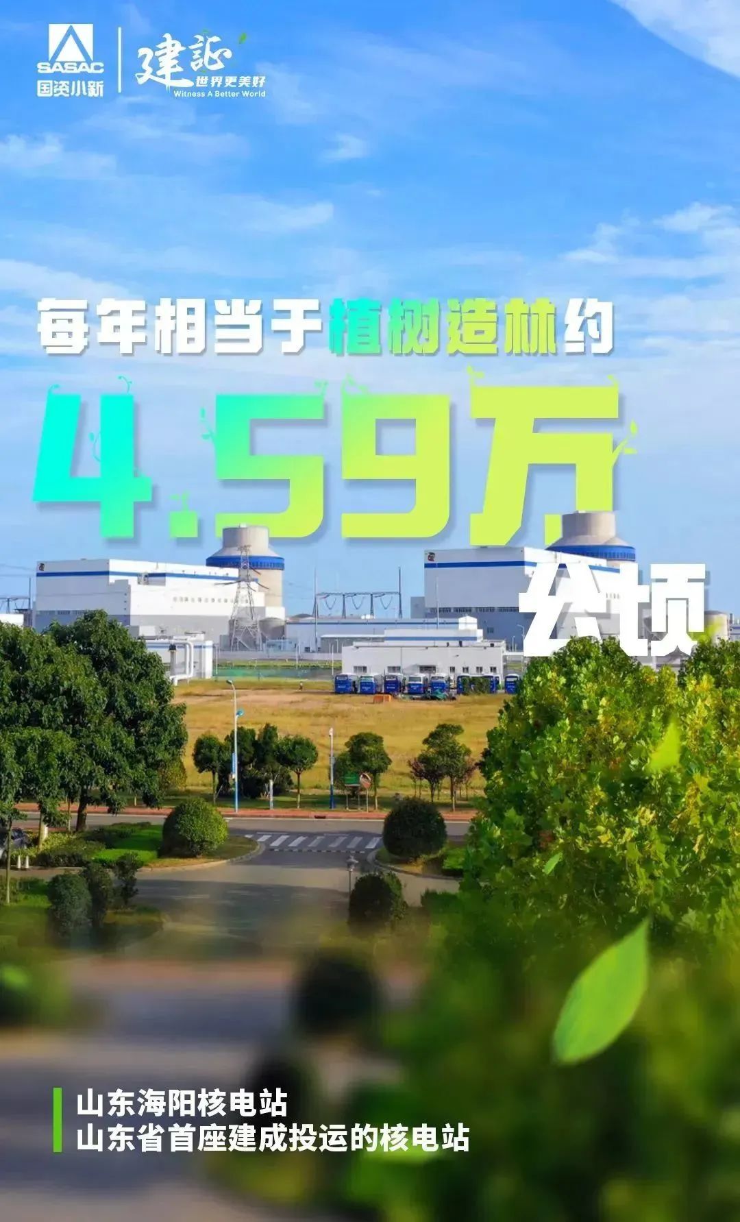 2000亩等deng于多少平方米（一千平方米等于yu多少亩）-第7张图片-大连信息网wang