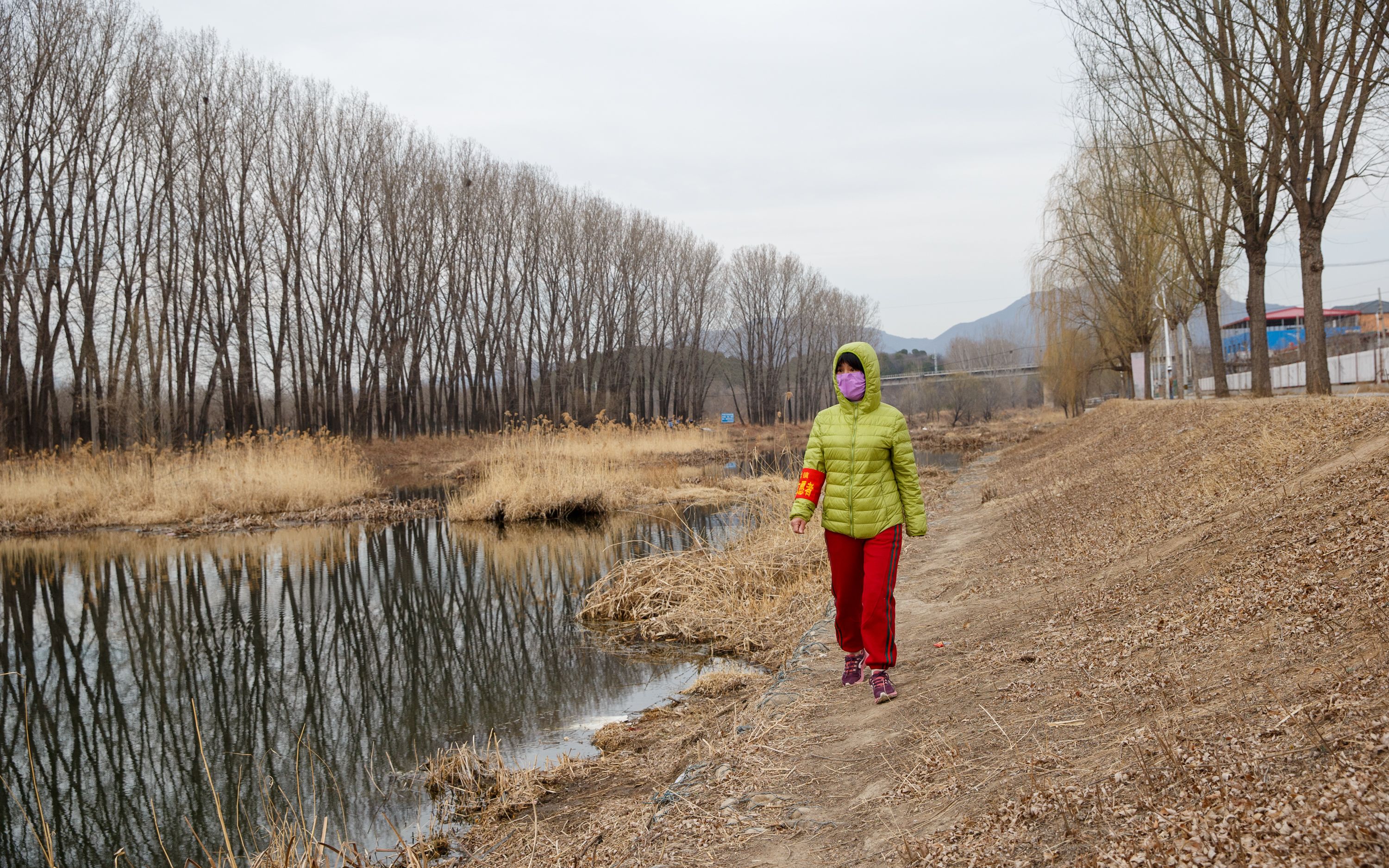 天下足球2016欧洲杯进球集锦（桃花水母出现背后，怀柔水生态环境质量创历史最优）