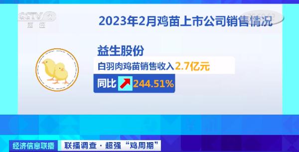 山东今日鸡苗价格表（山东今日鸡苗价格查询表）