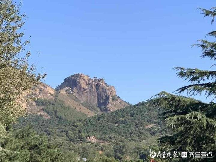 春天是怎样的（春天是怎(zen)样的来写几句诗）-大连信息网(wang)