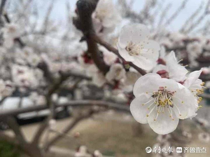 春天是怎样的(de)（春天是怎样的来写几(ji)句诗）-大连信息网