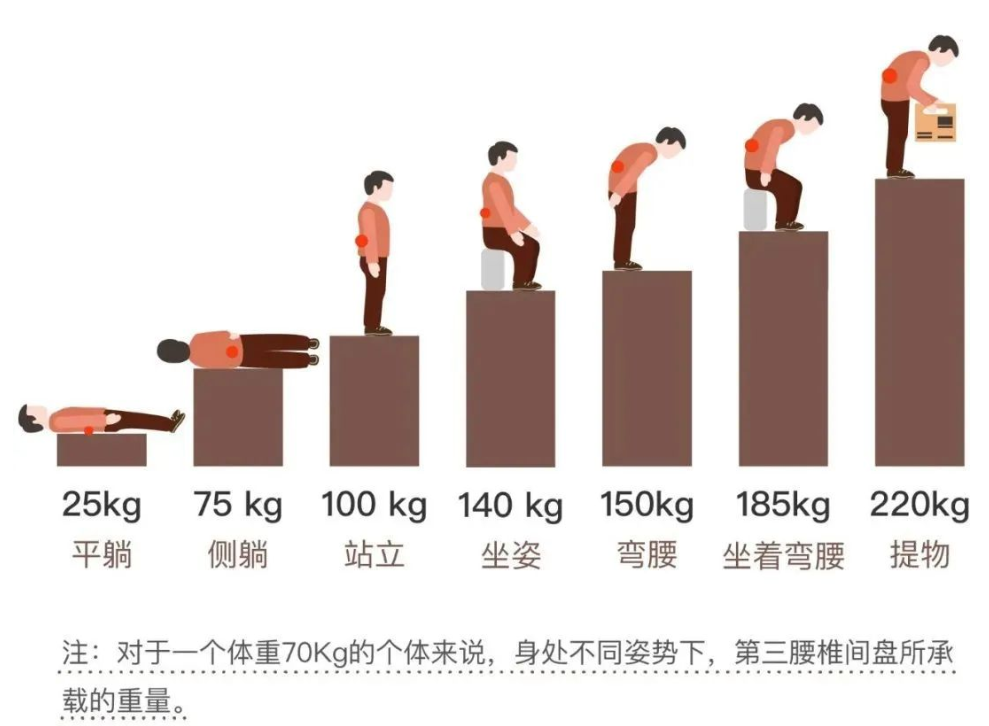 腰椎受力图解图片