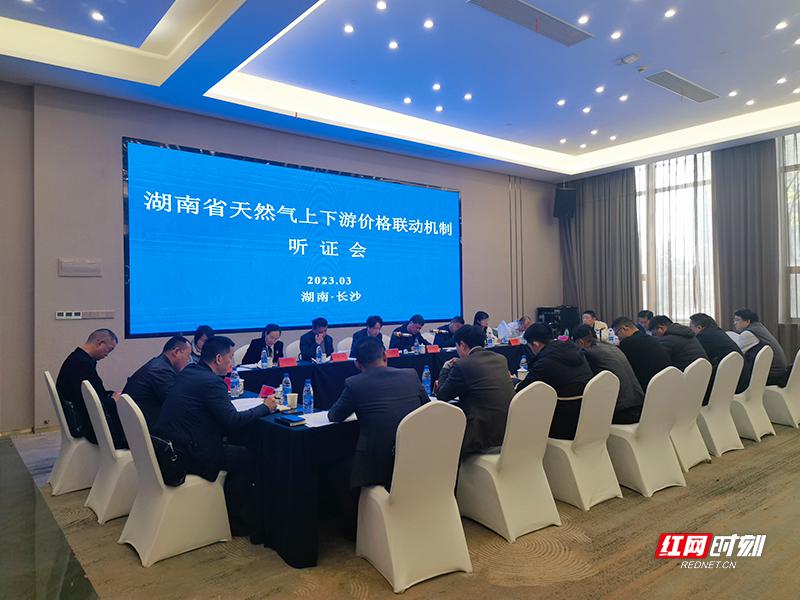 中央财经新闻今日天然气价格（中央2台财经新闻女主持人）