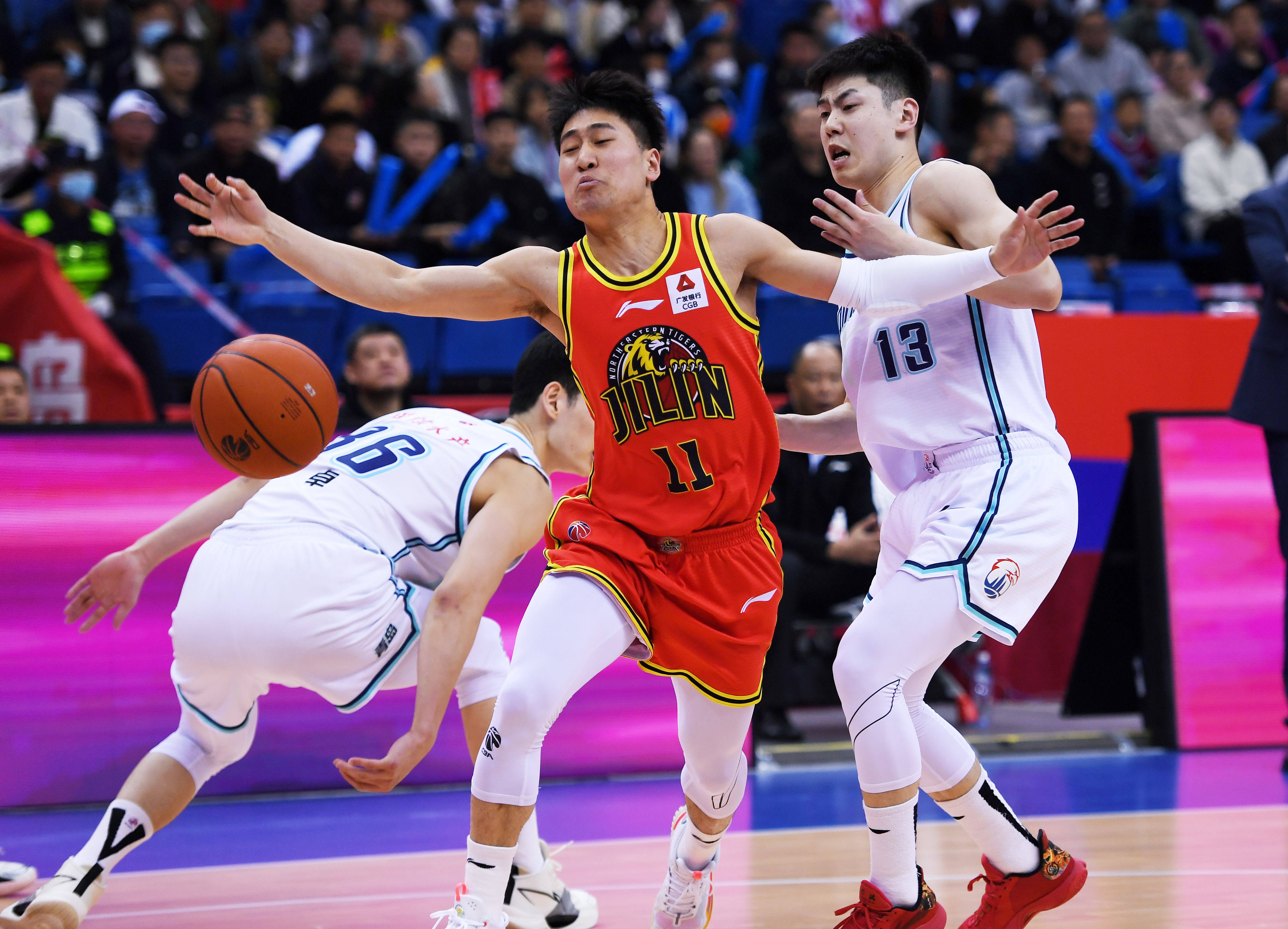 （体育）篮球——CBA常规赛：青岛国信水产胜九台农商银行(2)