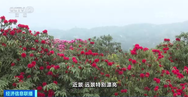 最近的旅游景点（最近的旅游景点哪个地方好玩又好吃）-第6张图片-昕阳网