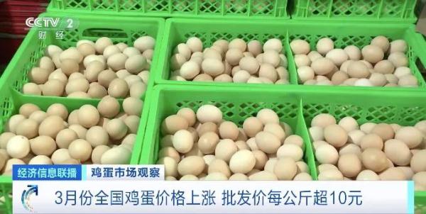 鸡蛋今日价格多少钱斤，鸡蛋今日价格是