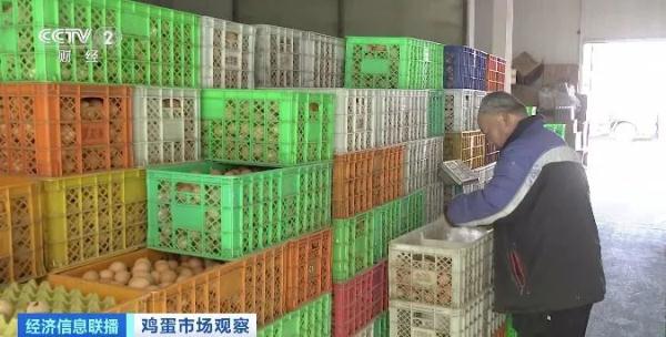 鸡蛋价格不“蛋”定？还会涨吗？